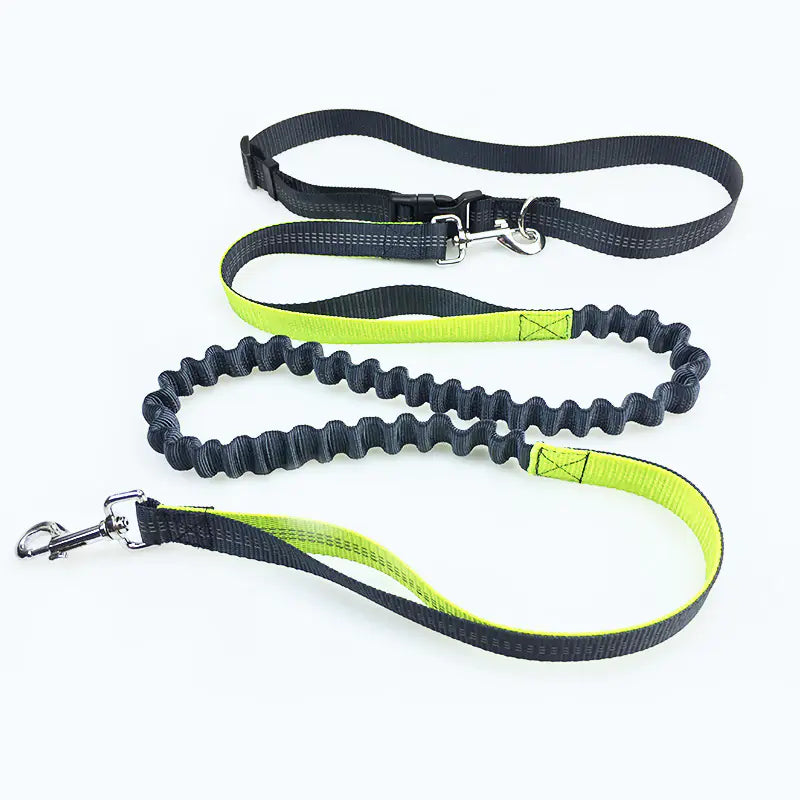 Dog Running Leash for Pet Supplies