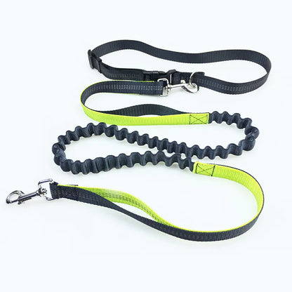 Dog Running Leash for Pet Supplies
