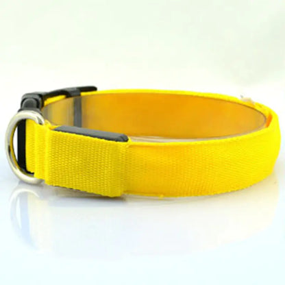 Luminous Fluorescent Dog Collar for Pet Supplies
