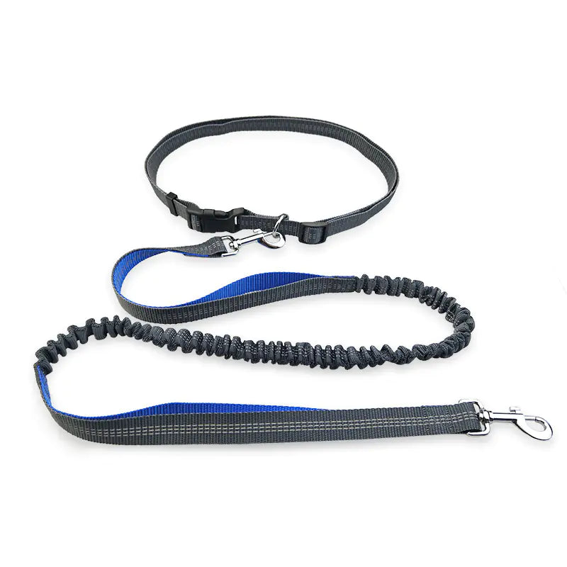 Dog Running Leash for Pet Supplies