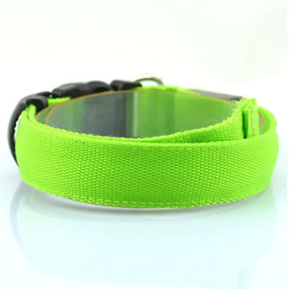 Luminous Fluorescent Dog Collar for Pet Supplies
