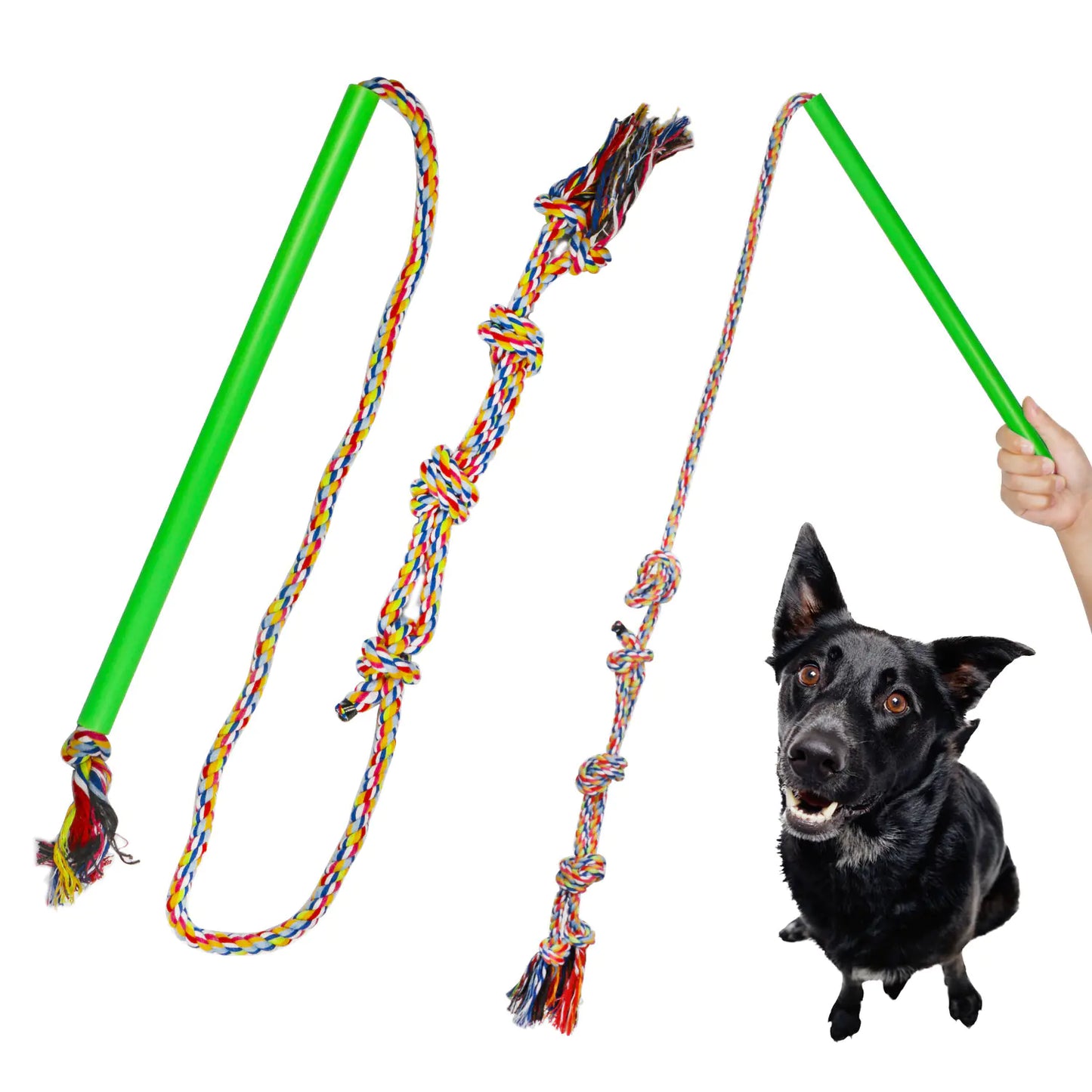 Dog Training Pole for Pet Supplies