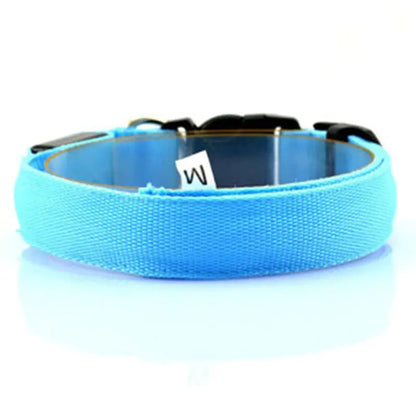 Luminous Fluorescent Dog Collar for Pet Supplies