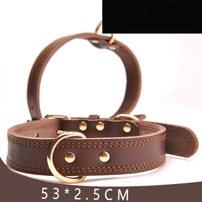Leather Dog Collar for Pet Supplies