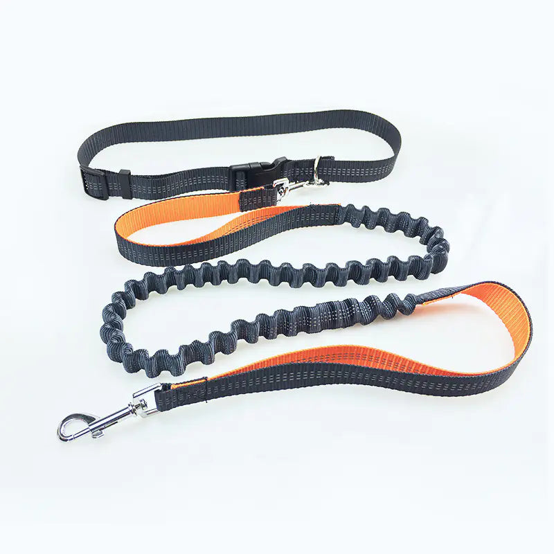 Dog Running Leash for Pet Supplies