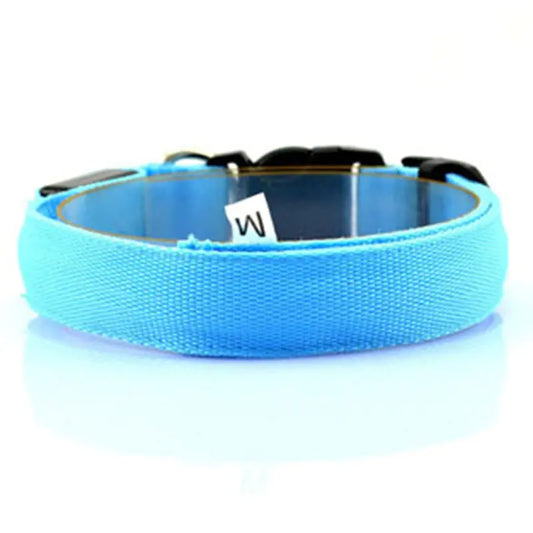 Luminous Fluorescent Dog Collar for Pet Supplies