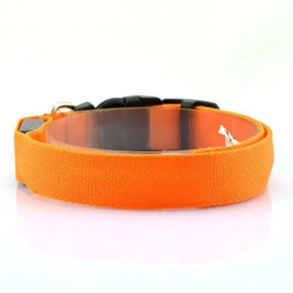 Luminous Fluorescent Dog Collar for Pet Supplies