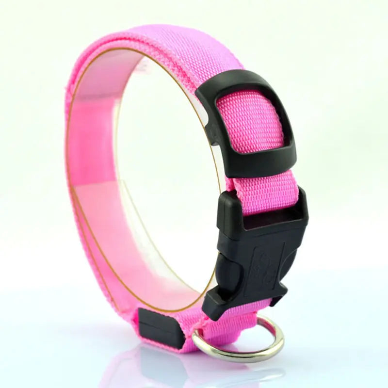 Luminous Fluorescent Dog Collar for Pet Supplies